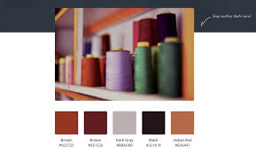 create your own colour palette for a
