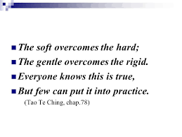 Shri Lao Tzu 5th Incarnated Adi Guru, About Lao Tzu, About Lao Tzu the Spritual master, Chines Spritual Guru Lao Tzu, 5th Adi Guru Lao Tzu, About Laozi