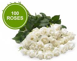 bouquet 100 large white roses
