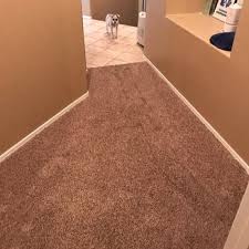 carpet cleaning