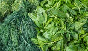 green leafy vegetables nutrition and