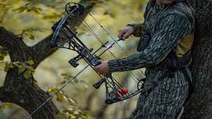 best compound bows for under 500