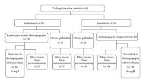 Data Flow Chart Of The Referred Prolonged Jaundice Patients