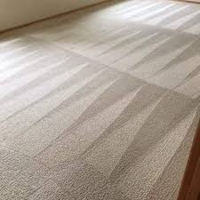 carpet cleaning services everett