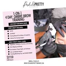 1 on 1 4 day ombre brow training posh