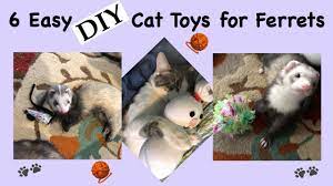 6 easy diy cat toys for ferrets you