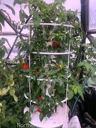 Grow An Aeroponic Tower Garden Review