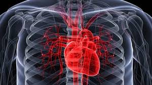 Image result for FREE IMAGES TO HEART TRANSPLANT