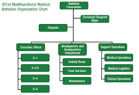 Army Sustainment Support Operations Lessons Learned In A