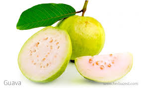guava herbazest