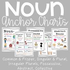 Noun Anchor Charts 8 Concepts By The Tulip Teacher Tpt