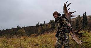 All across alaska the wolf population increased and the ungulate population along with other species of both big and small game declined. How To Plan A Do It Yourself Alaskan Moose Hunt Gohunt