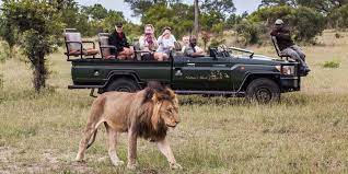 south africa tours sun safaris