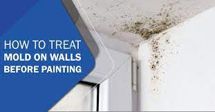 Treat Mold On Walls Before Painting