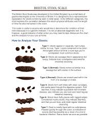 The Bristol Stool Scale What Your Stool Indicates About