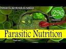 parasitic nutrition