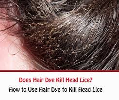 Hair dye has no ability to kill lice—please don't try this. Does Hair Dye Kill Head Lice Getridofallthings Com