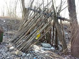 Image result for survival fort made out of twigs in the wild