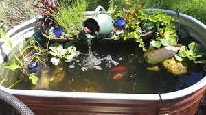 My Stock Tank Pond The Planted Tank