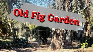 old fig garden neighborhood tour in