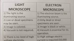 difference between light microscope and