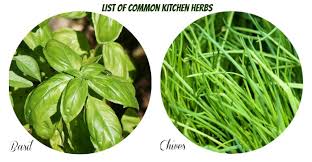 Herb Identification Identifying Fresh Herbs