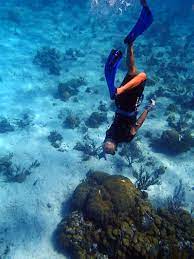 Snorkeling - Miller's Dive Shop - Scuba Eleuthera Bahamas