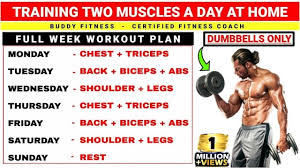 two muscle groups per day workout plan