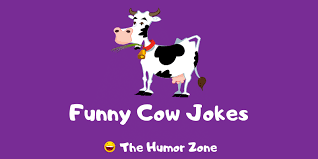 40 funny cow jokes ranked in order of popularity and relevancy. 30 Funny Cow Jokes And Puns The Humor Zone