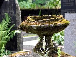 Moss Gardening Ideas Easy Moss Garden