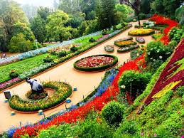 botanical gardens in india wrytin