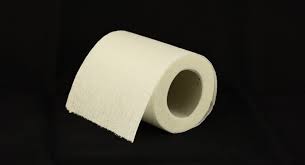 Writing And Editing Services   toilet paper buying guide Unusual Toilet Paper Holders    