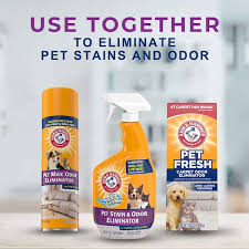 arm hammer 32oz pet stain and odor