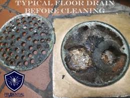commercial drain foaming service