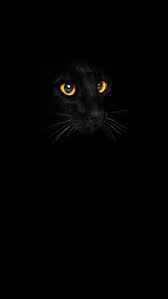 Black Cat Iphone 5 Wallpaper 640x1136