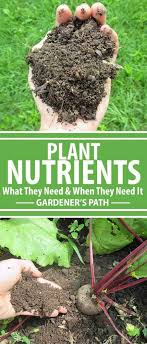 Plant Nutrients What They Need And