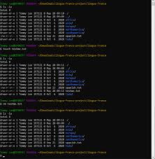 permission denied when using rm in git