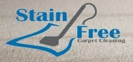stain free carpet cleaning reviews