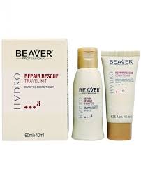 beaver professional intensive recovery