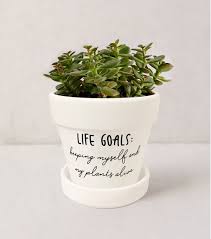 funny planter life goals keeping