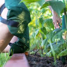 knee pads for gardening gardening