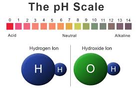 Back To Basics Acids Bases The Ph Scale Precision