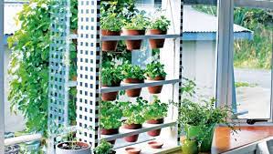diy hanging windowsill herb planter