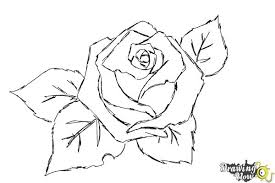 how to draw a beautiful rose drawingnow