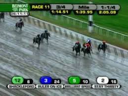 Belmont Stakes 2011 Results Ruler On Ice