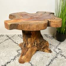 Teak Root Wood Mushroom Coffee Table