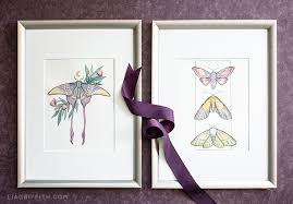 Use crayola® crayons, colored pencils, or markers to color the matching moths the same color. Elegant Moths Halloween Coloring Pages Lia Griffith