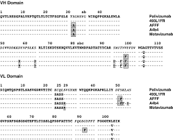 Susan kalergis is a member of vimeo, the home for high quality videos and the people who love them. Amino Acid Sequence Comparison Of Palivizumab 493l1fr Afff The Best Download Scientific Diagram