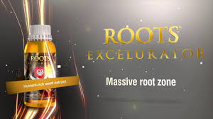 Root Excelurator By House And Garden
