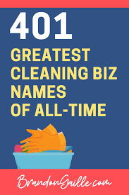 for cleaning company names